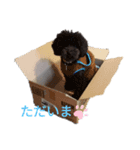 アポマボ2（個別スタンプ：2）