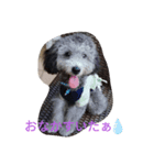 アポマボ2（個別スタンプ：6）