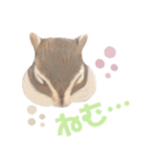 むぎぐらし いらすと（個別スタンプ：4）