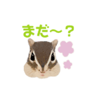 むぎぐらし いらすと（個別スタンプ：5）