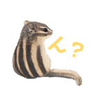 むぎぐらし いらすと（個別スタンプ：8）