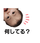 さらちゃん。日常（個別スタンプ：1）
