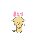調子のいいネコ悪いネコ（個別スタンプ：4）