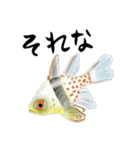 かいよーけんスタンプ2（個別スタンプ：2）