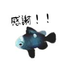 かいよーけんスタンプ2（個別スタンプ：3）