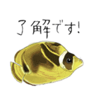 かいよーけんスタンプ2（個別スタンプ：5）