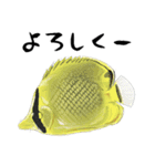 かいよーけんスタンプ2（個別スタンプ：12）