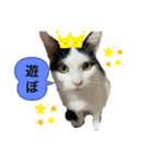 ふくちゃん すたんぷ2（個別スタンプ：1）