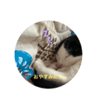 ふくちゃん すたんぷ2（個別スタンプ：2）