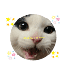 ふくちゃん すたんぷ2（個別スタンプ：3）