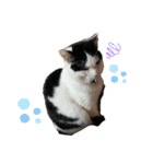 ふくちゃん すたんぷ2（個別スタンプ：4）