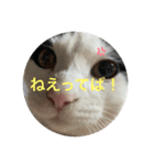ふくちゃん すたんぷ2（個別スタンプ：6）