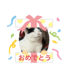 ふくちゃん すたんぷ2（個別スタンプ：7）