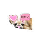 量産系そら（個別スタンプ：7）