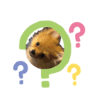 うちの犬.1（個別スタンプ：2）