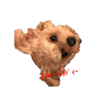 うちの犬.1（個別スタンプ：8）