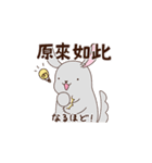 中国語＆日本語の敬語を話すチンチラ（個別スタンプ：12）