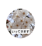 お花の写真でご挨拶（個別スタンプ：2）