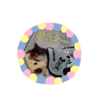 chihuahua4.（個別スタンプ：3）