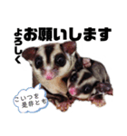 Happy フクロモモンガ（個別スタンプ：8）