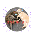 やじまとあやちゃんman（個別スタンプ：4）
