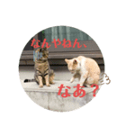 やじまとあやちゃんman（個別スタンプ：6）