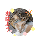 やじまとあやちゃんman（個別スタンプ：7）