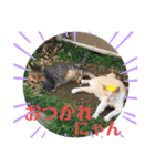 やじまとあやちゃんman（個別スタンプ：8）