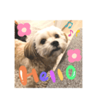 毎日えるちゃん❸（個別スタンプ：1）