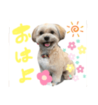 毎日えるちゃん❸（個別スタンプ：2）