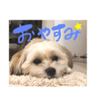 毎日えるちゃん❸（個別スタンプ：3）