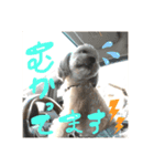毎日えるちゃん❸（個別スタンプ：4）