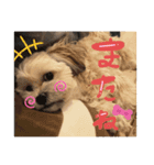 毎日えるちゃん❸（個別スタンプ：8）