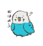 セキセイインコちゃんず（個別スタンプ：3）