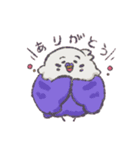 セキセイインコちゃんず（個別スタンプ：5）