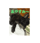 いぬのシンバ（個別スタンプ：2）