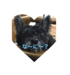 いぬのシンバ（個別スタンプ：3）