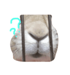とと、てて（個別スタンプ：7）