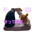 黒猫クロエスタンプ（個別スタンプ：6）