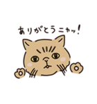 鼻ぺちゃ癒しねこ（個別スタンプ：1）