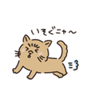 鼻ぺちゃ癒しねこ（個別スタンプ：3）