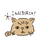 鼻ぺちゃ癒しねこ（個別スタンプ：8）