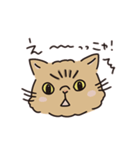 鼻ぺちゃ癒しねこ（個別スタンプ：9）