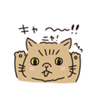鼻ぺちゃ癒しねこ（個別スタンプ：16）