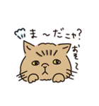 鼻ぺちゃ癒しねこ（個別スタンプ：17）