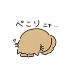 鼻ぺちゃ癒しねこ（個別スタンプ：30）