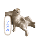 スコ先生part1（個別スタンプ：2）