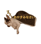 まゆ毛のフクちゃん2（個別スタンプ：1）