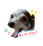 まゆ毛のフクちゃん2（個別スタンプ：3）