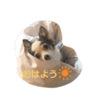 まゆ毛のフクちゃん2（個別スタンプ：4）